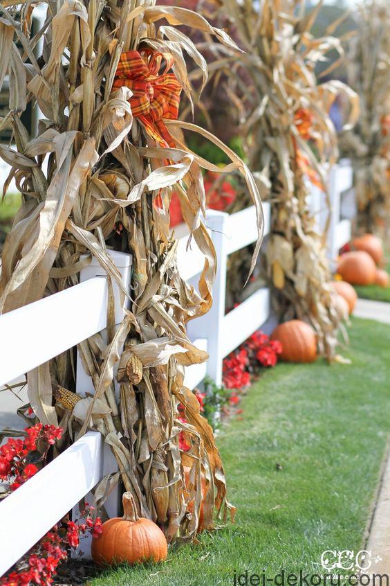 20-outdoor-fence-decor-with-corn-stalks-and-plaid-bows