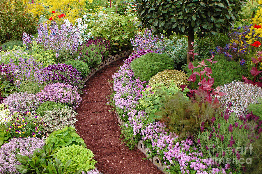 english-garden-path-mike-nellums