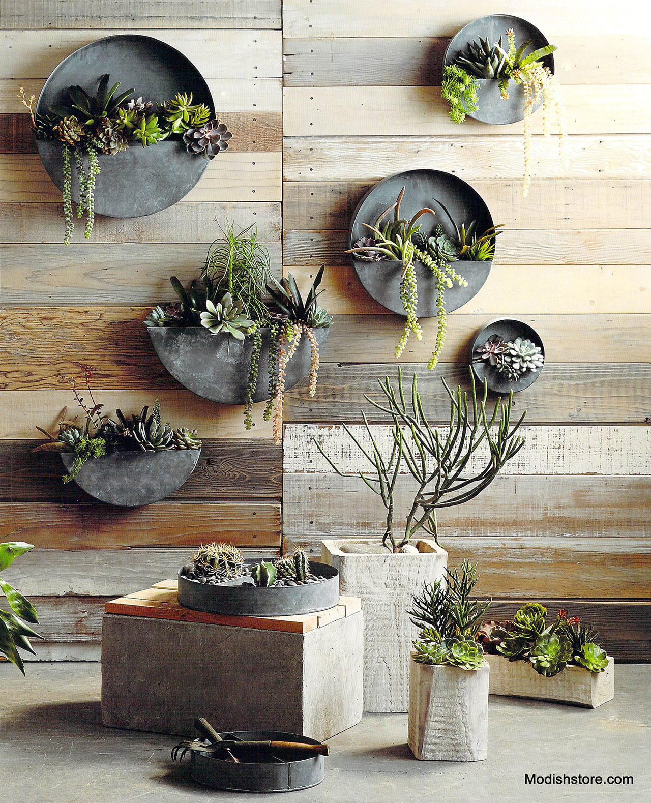 25-muted-round-zinc-planters-allow-plants-to-shine-vertical-gardens-homebnc