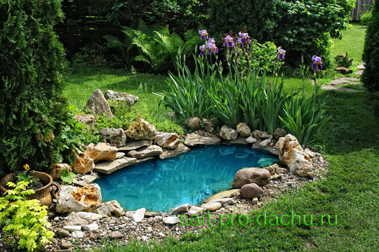 small pond in the garden