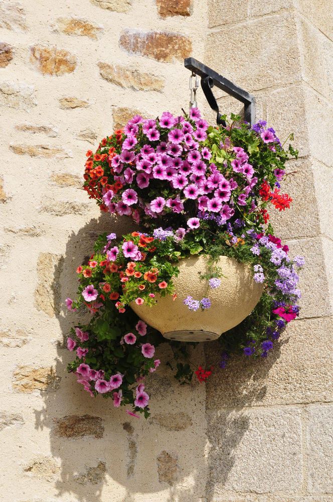 16hanging-basket-flowers