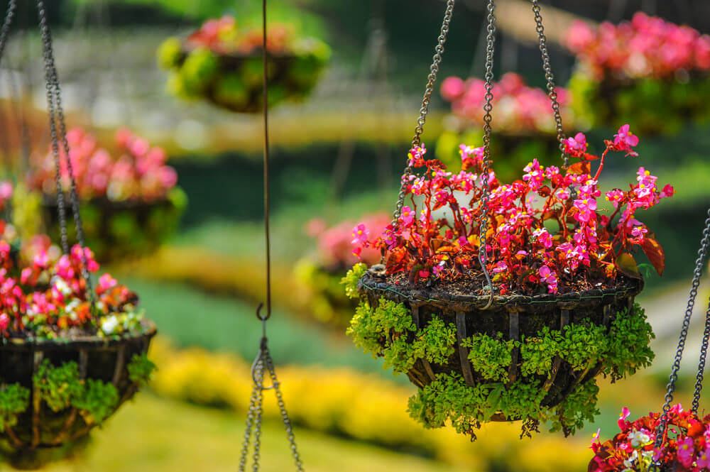 27hanging-basket-flowers