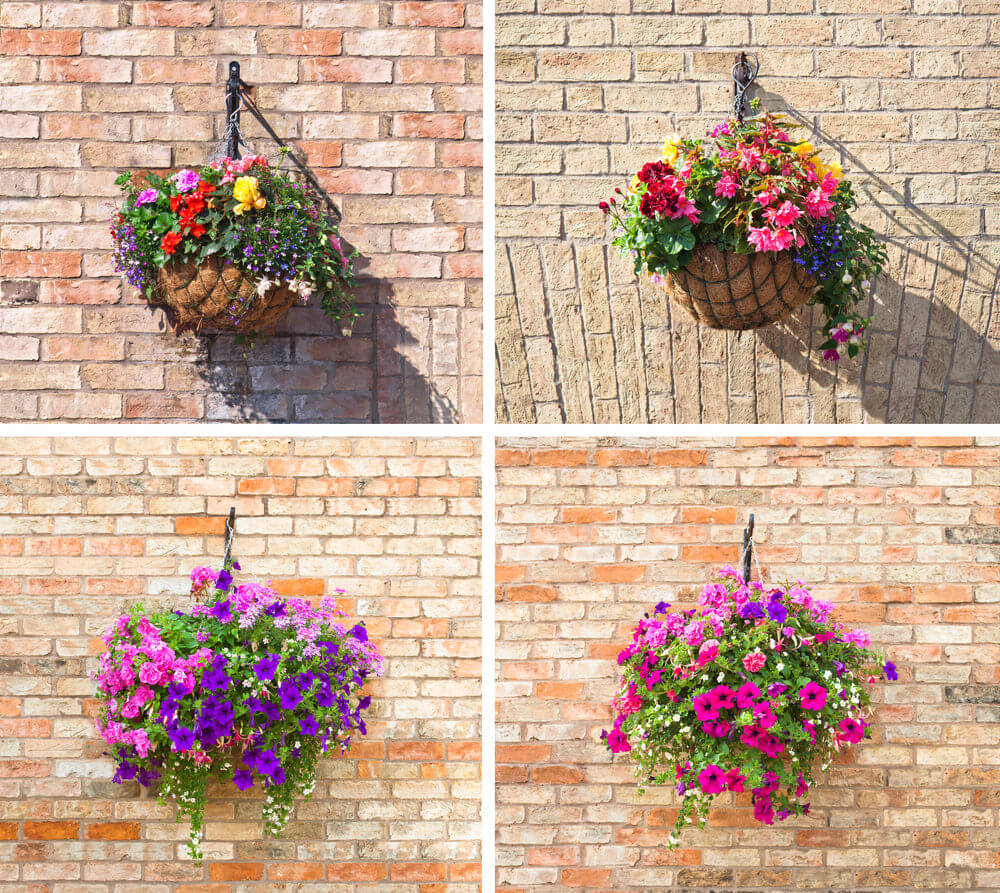 41hanging-basket-flowers
