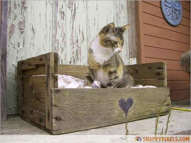 cat-bed-wood-pallet