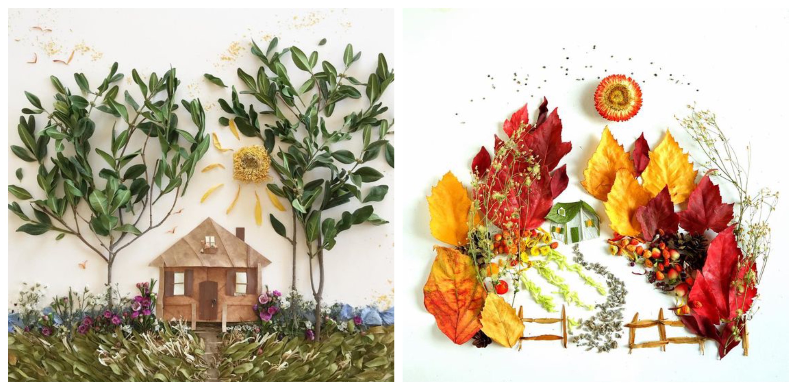 Оригінальні гербарії з листя та осінніх квітів: добірка ідей для натхнення